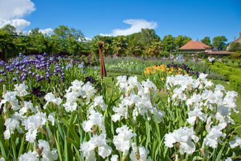 Top des lieux où admirer la nature en fleurs