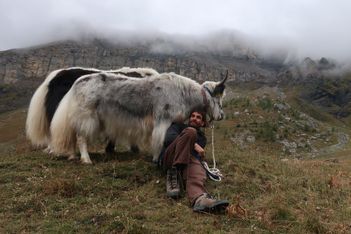 Balades insolites avec des animaux… étonnants