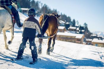 Ski joëring : faites du cheval en hiver !