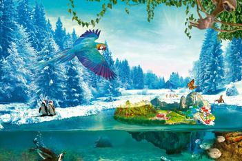 Loisirs exotiques: où s&rsquo;amuser au chaud en hiver?