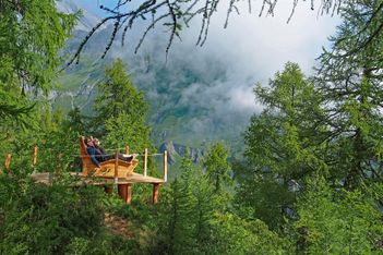 Loisirs en forêt: ça vous branche ?