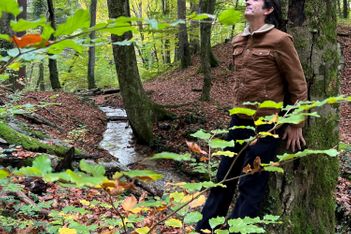Bains de forêt : testé pour vous