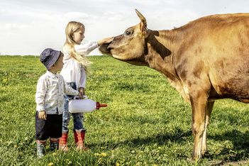 Top 8 des fermes pédagogiques à découvrir avec les enfants