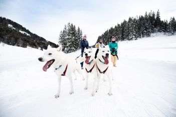 Région Dents du Midi, l’hiver absolu