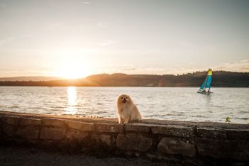 Un été au naturel dans le canton de Fribourg