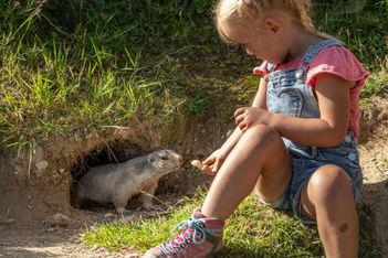 20 activités pour les passionnés d&rsquo;animaux