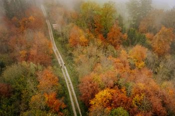 Un automne aux mille couleurs dans le canton de Fribourg