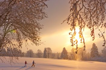 Partez sur la voie de l’hiver avec les Chemins de fer du Jura