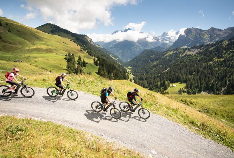 E-bike : 20 balades faciles avec location pour découvrir le vélo électrique