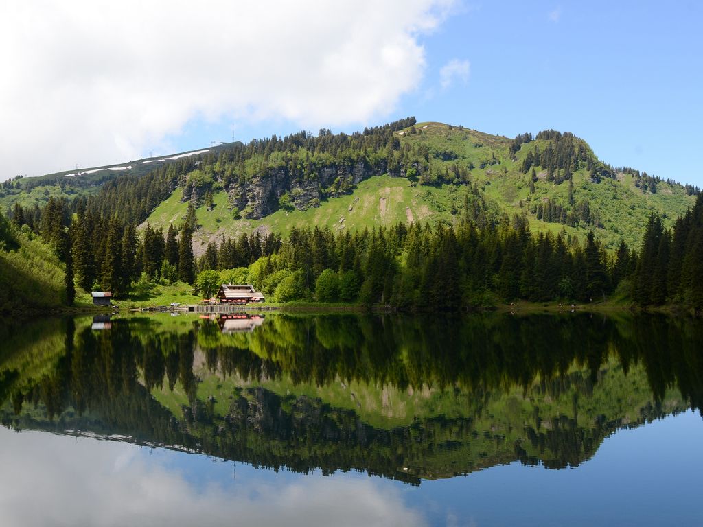 Baignade en Suisse - Lac des Chavonnes dans le canton de Vaud