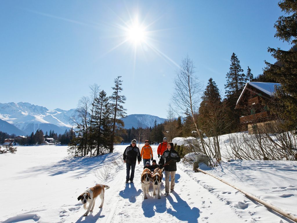 Balades avec les chiens du Saint-Bernard, Champex-Lac, cet hiver.