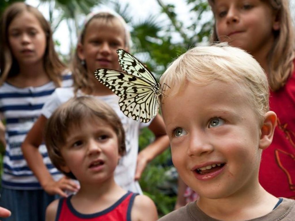 Papiliorama, Kerzers, Fribourg