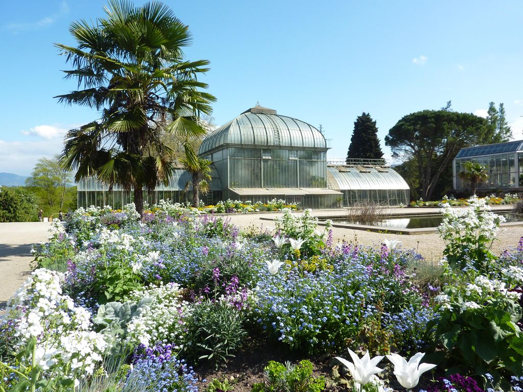 Jardin botanique Genève