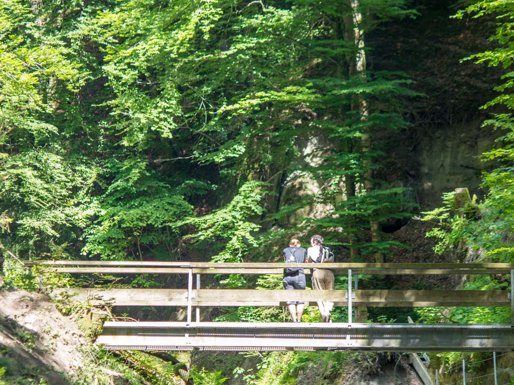 Balade fraîcheur dans les gorges du Gottéron à Fribourg