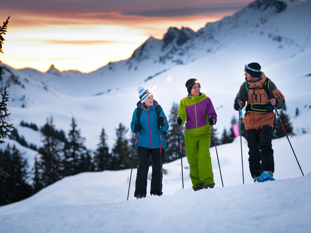Sortie à raquettes nocturne dans le Région Dents du Midi