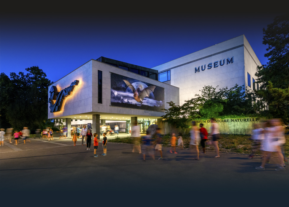Musée de la ville de Genève, le Muséum d'histoire naturelle