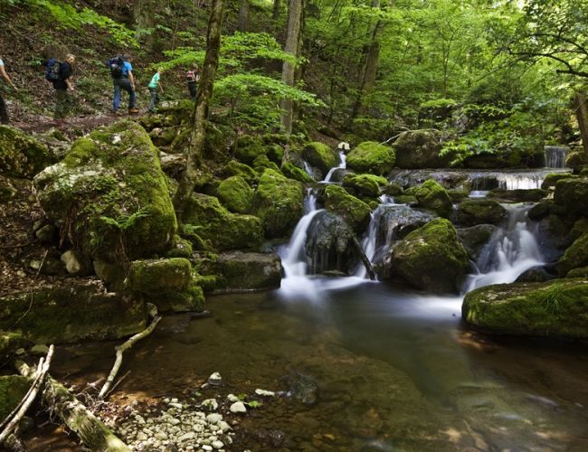 Les plus belles gorges naturelles de Suisse - Gorges de Douanne (Twann)