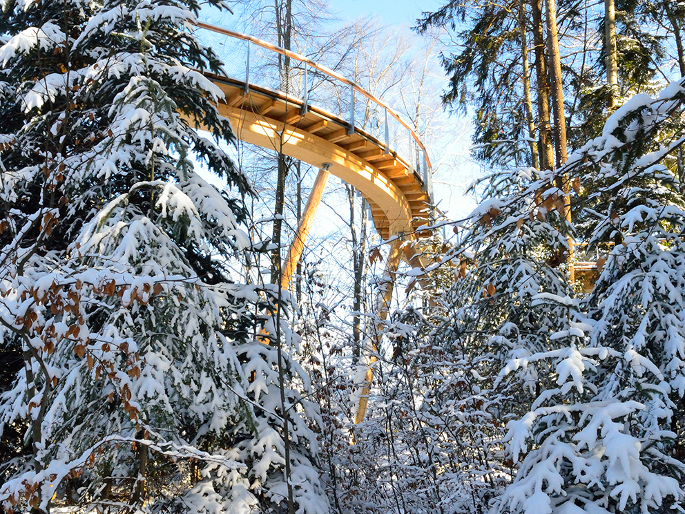 Un sentier de la canopée pour prendre de la hauteur en forêt à Mogelsberg, dans le canton de Saint-Gall