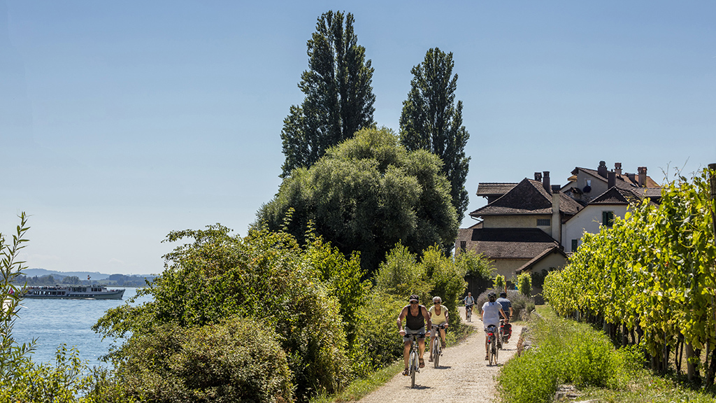 Tour du lac de Bienne à e-bike
