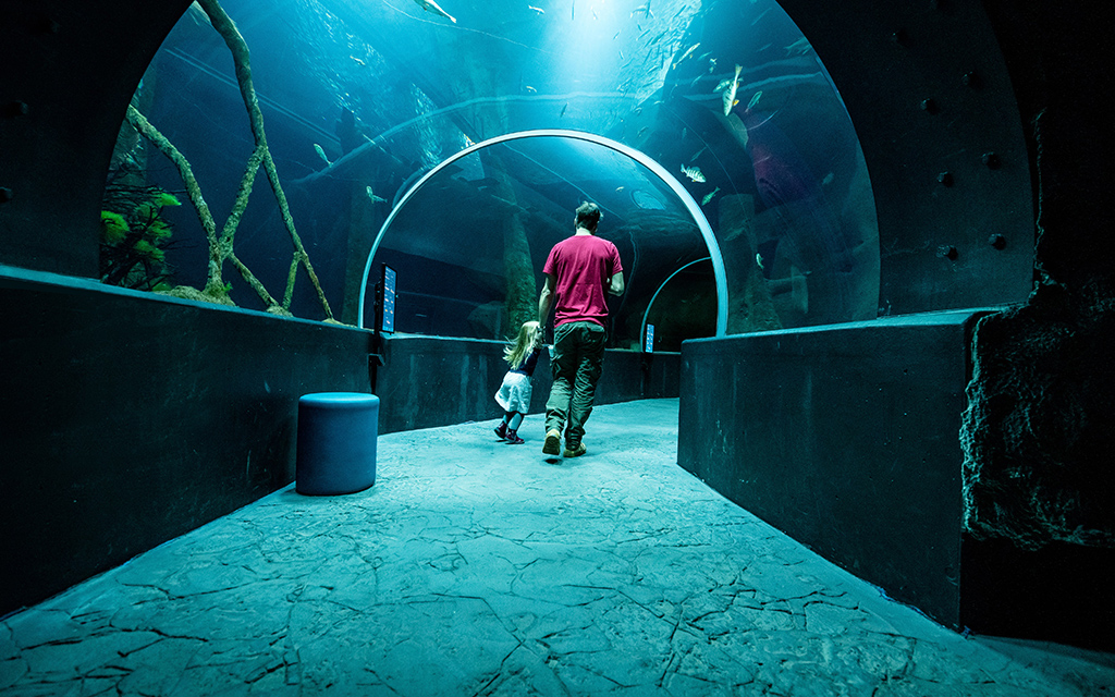 Viste en famille d'Aquatis, aux portes de Lausanne
