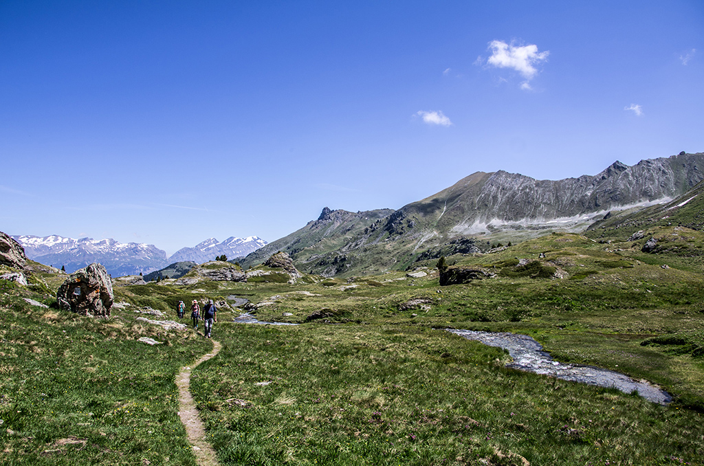 Les plus beaux bisses du Valais - Bisse de Savannes Bellecrête et bisse de Vercorin