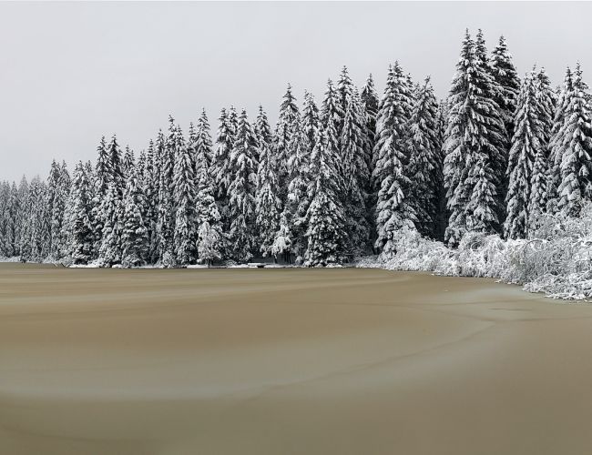 Sites hivernaux féeriques de Suisse romande: Etang de la Gruère