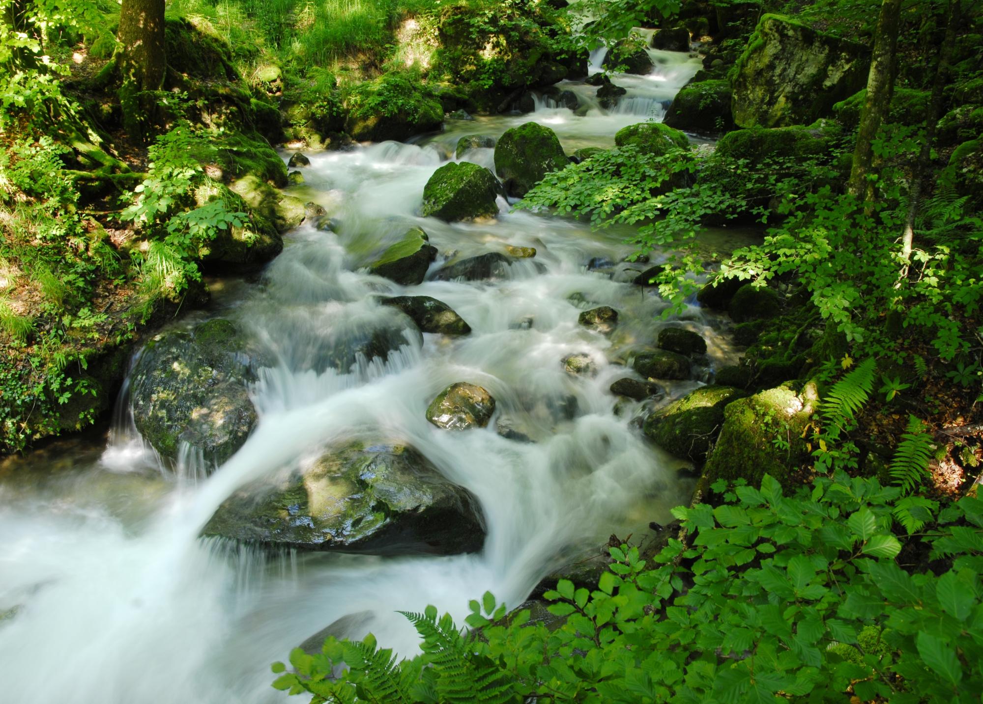 Les plus belles gorges naturelles de Suisse - Gorges de Covatannaz