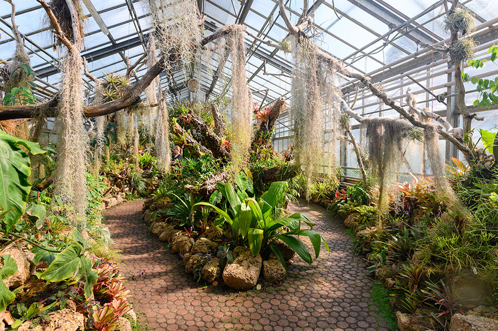 Jardin botanique de Genève