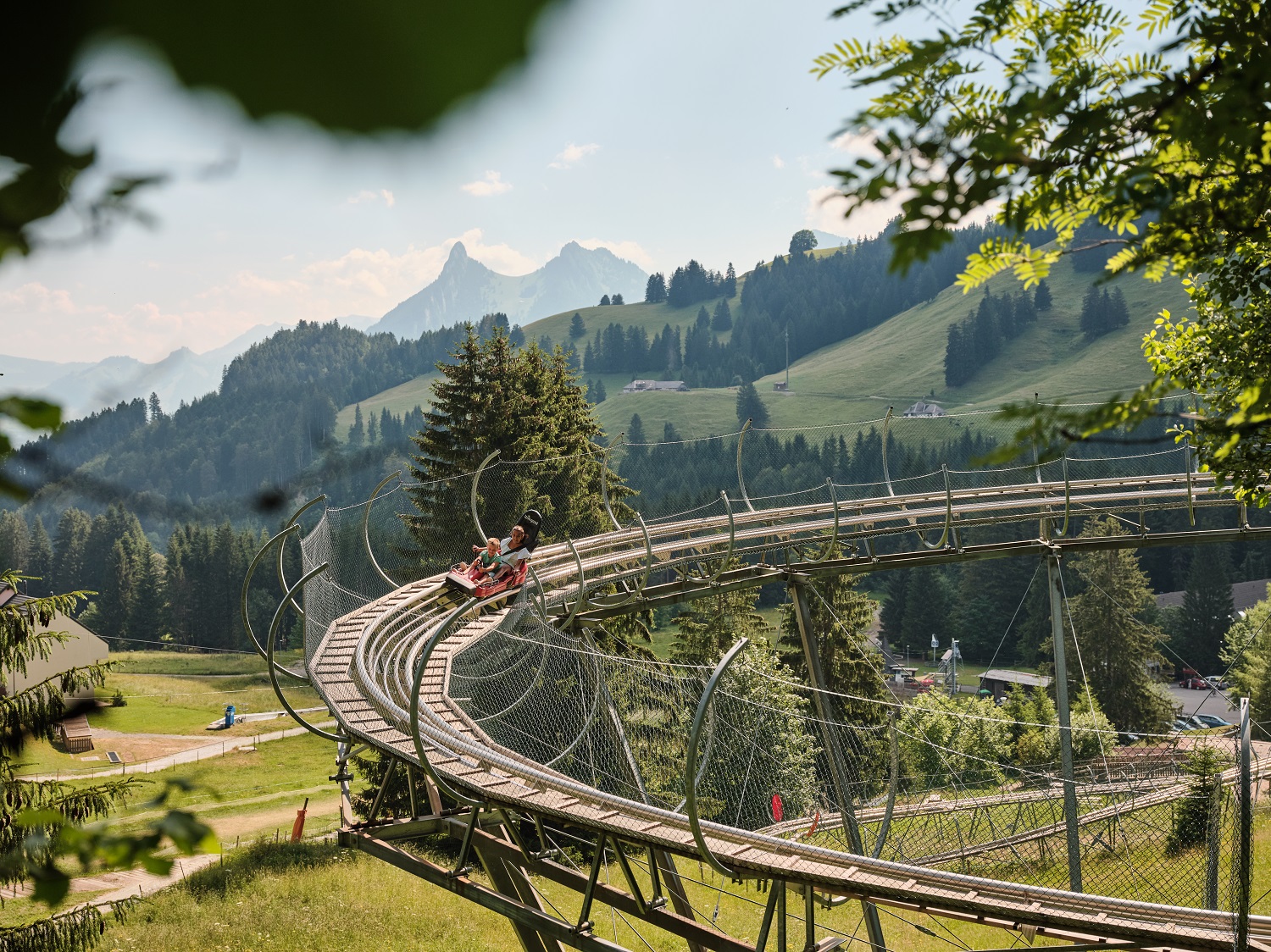 luge d'été - suisse - moléson