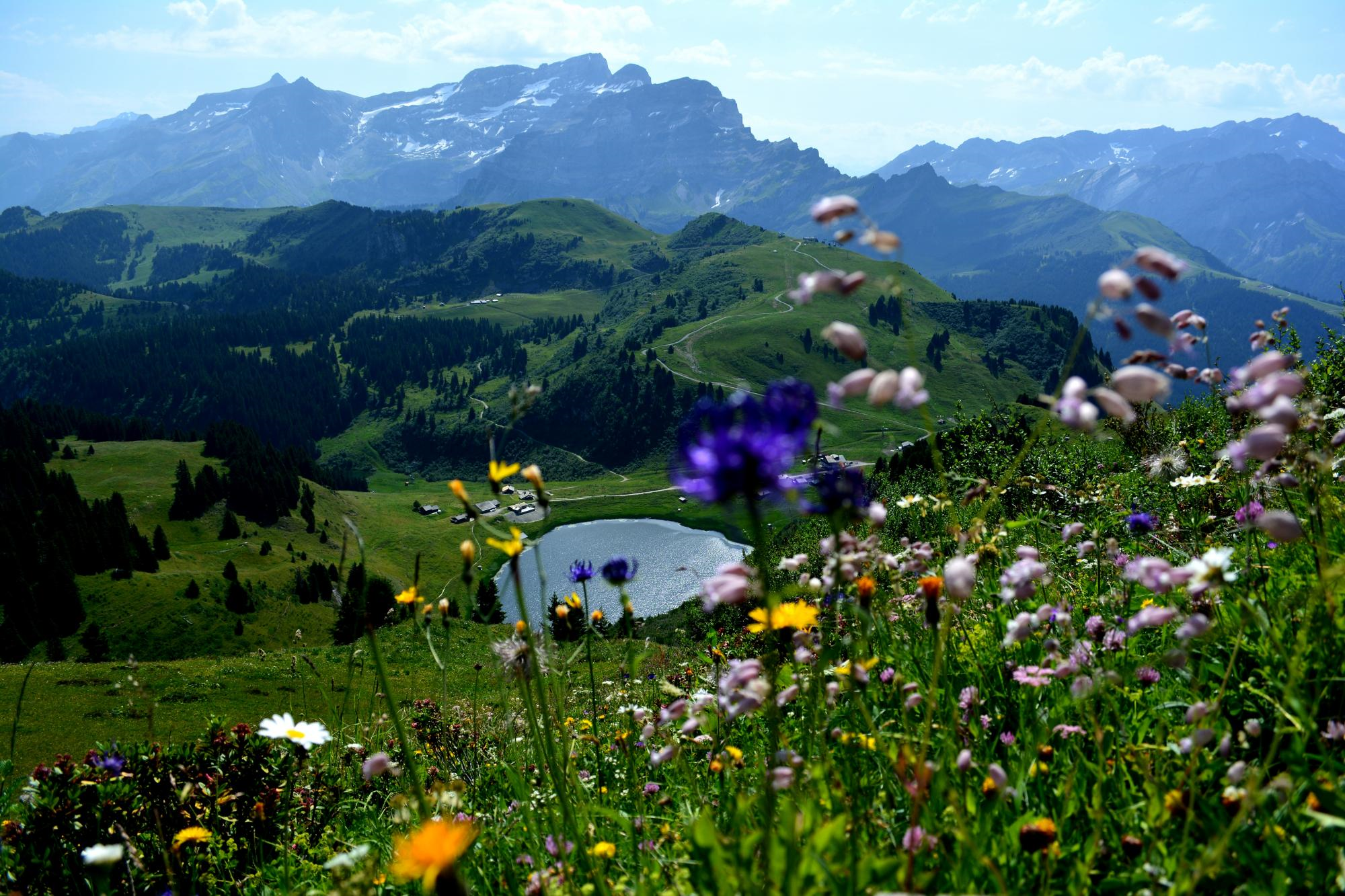 Sommet du Grand Chamossaire