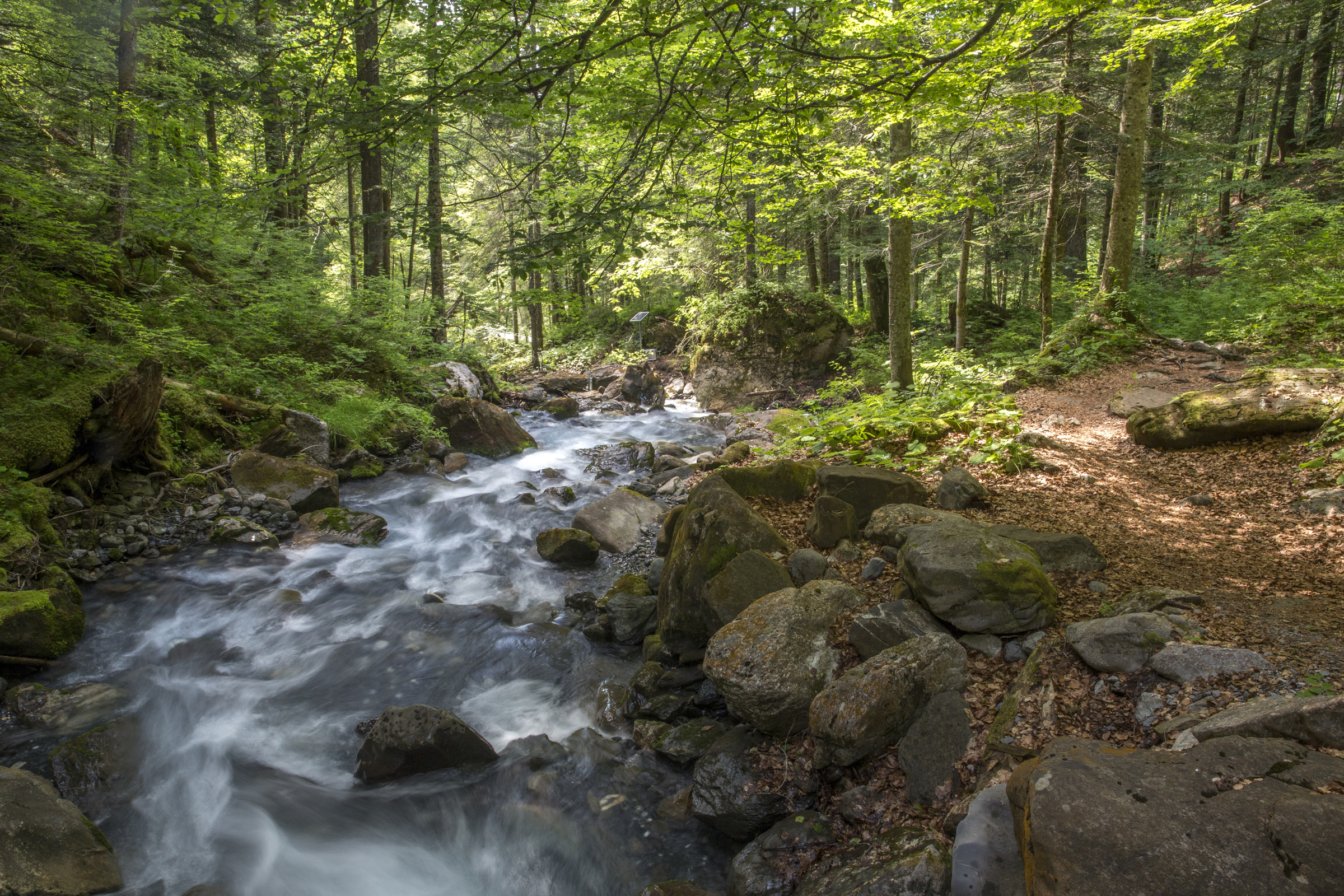 Gorges de l'Avançon