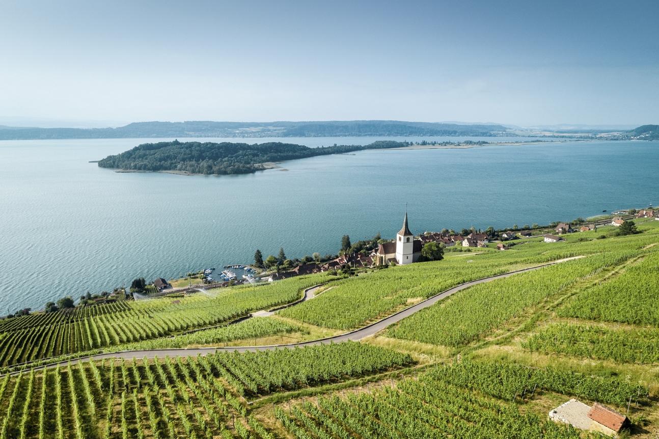 Lac de Bienne et l'île St-Pierre