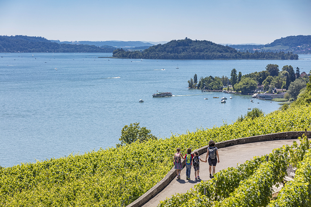 Dans le Seeland, la balade suit les vignes et le bord du lac.