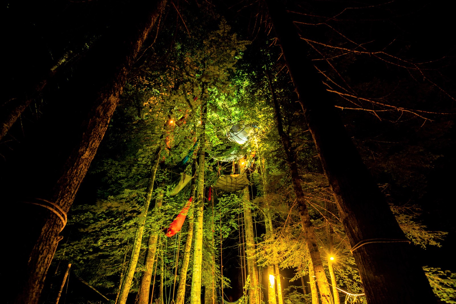 Grimpe d'arbre avec A la Cime