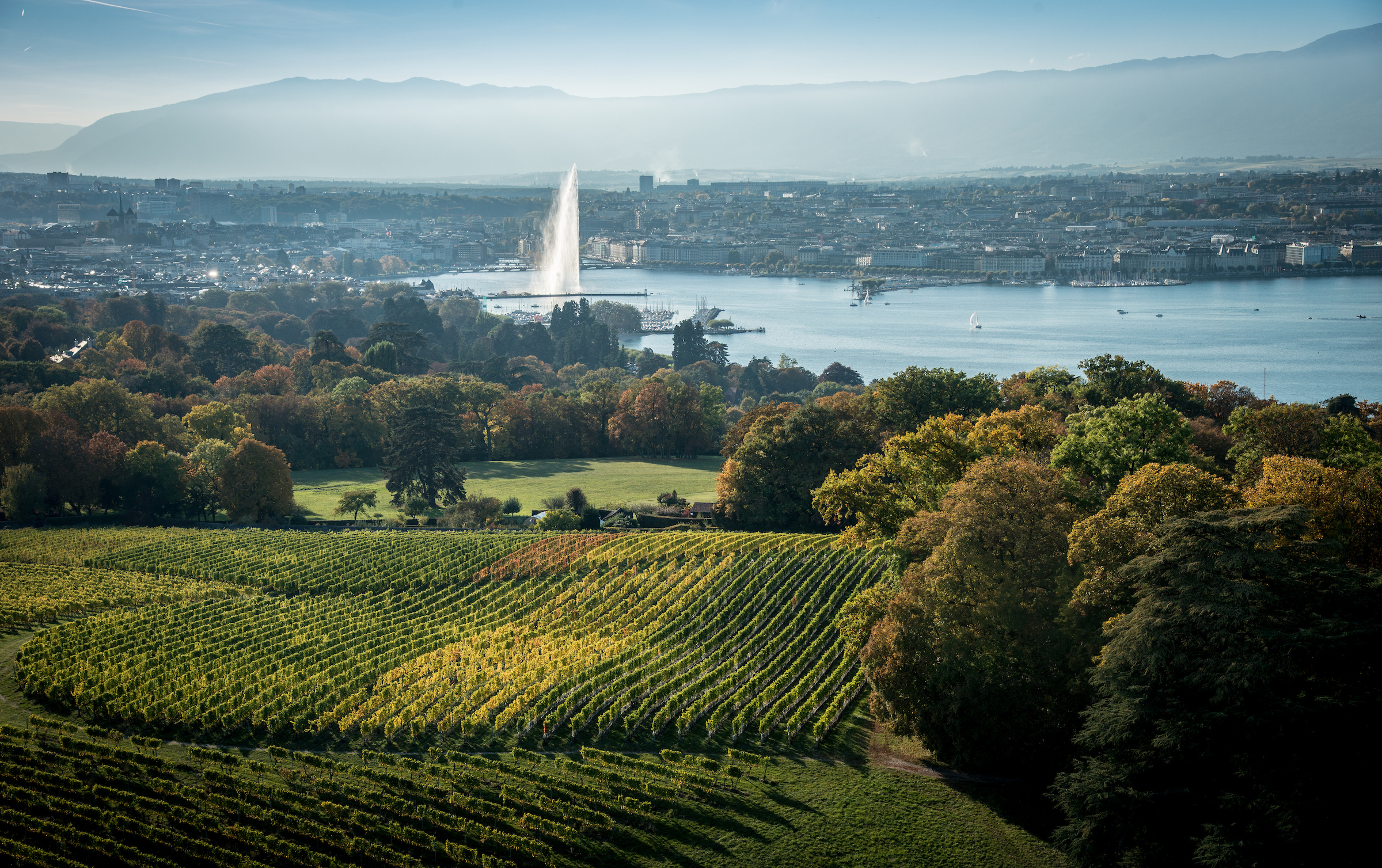 A Genève, la balade dans les vignes n'est jamais loin de la ville, ni d'un restaurant où se sustenter.