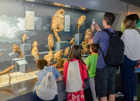 Visite en famille du Muséum