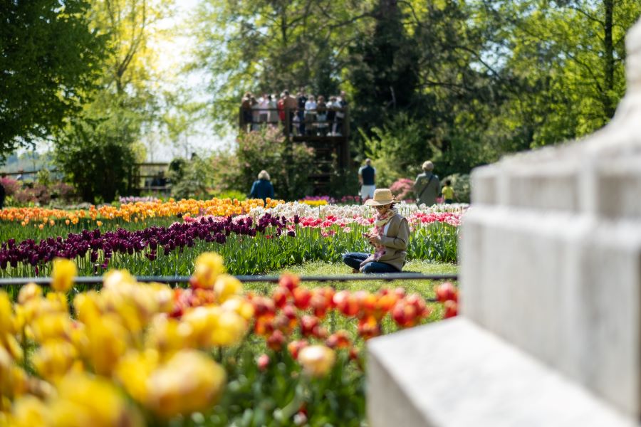 Parc de l'Indépendance - Fête de la tulipe - Morges