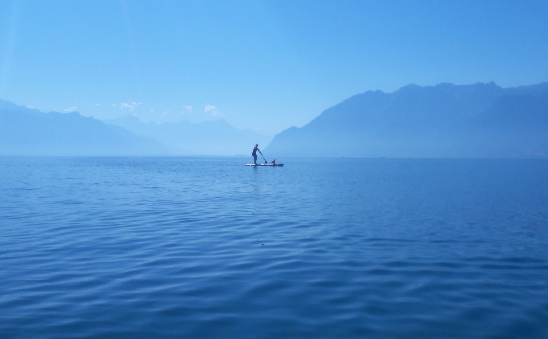 Paddle sur le Léman de Cully à Epesses.