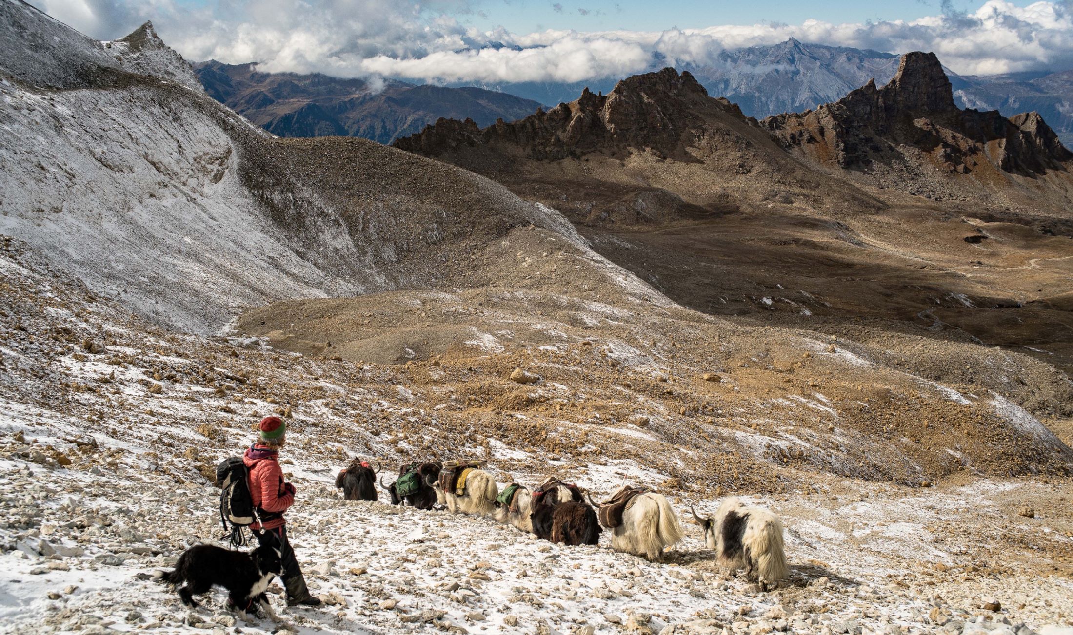 Trekking avec des yaks en Valais avec l'élevage Yak shu lo ché