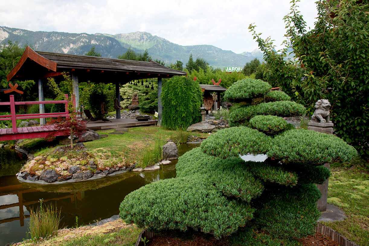 Le temps d'une visite, le jardin zen à Aigle vous invite à vous immerger au cœur de la culture asiatique.