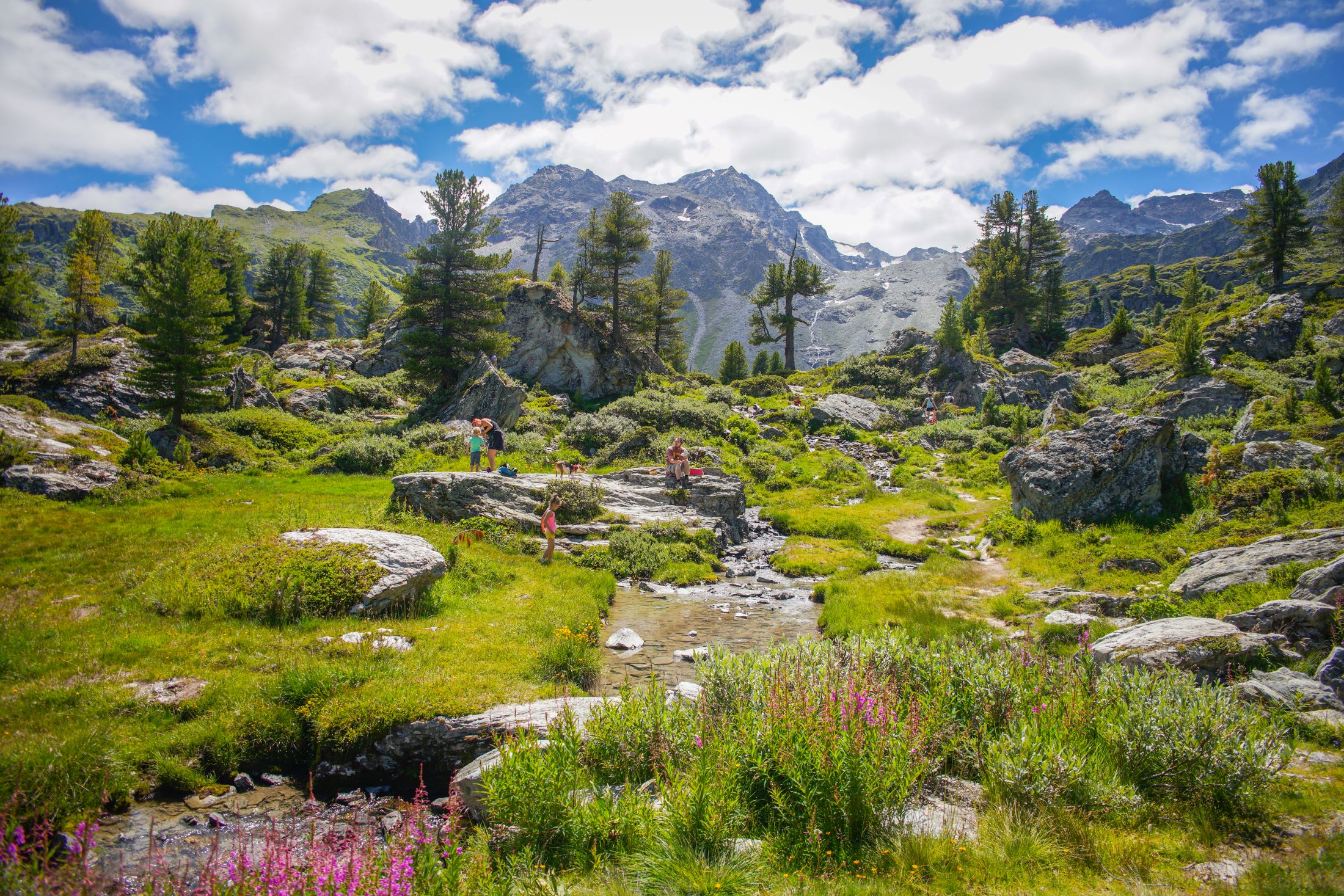 Jardin alpin de style japonais à Nendaz, dans le canton du Valais