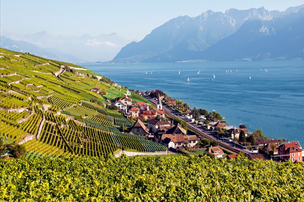 Le vignoble en terrasses de Lavaux est inscrit au patrimoine mondial de l'UNESCO depuis 2007.