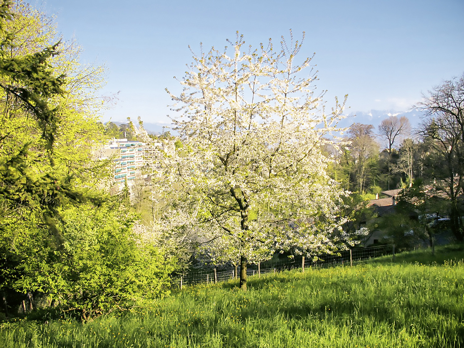"Guide des randos en famille", Balade à Lausanne avec les enfant, sur les traces du renard