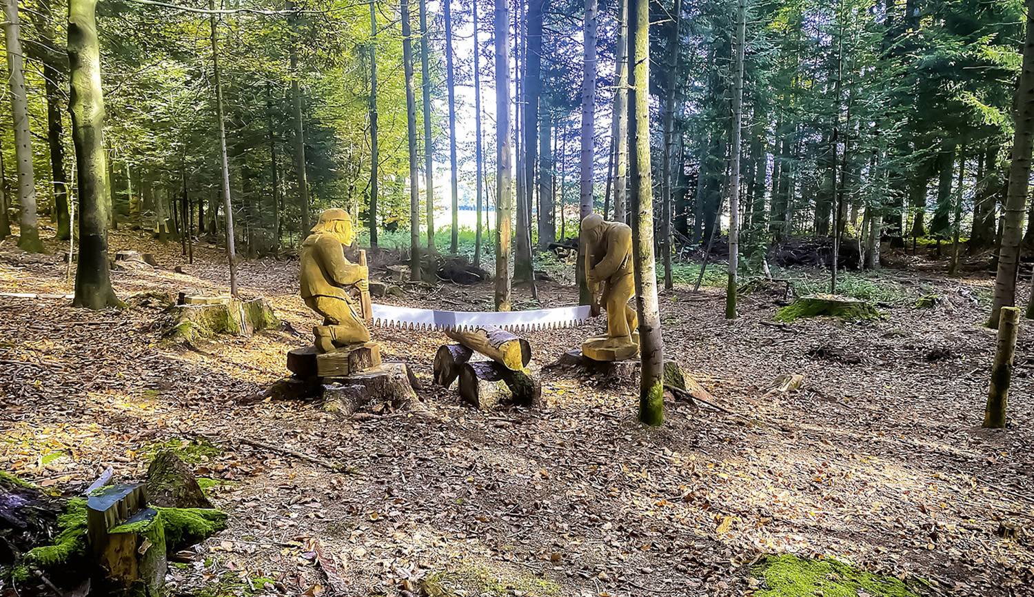 "Guide des randos en famille", balade au Crêt (FR) avec les enfant - bois de Ban