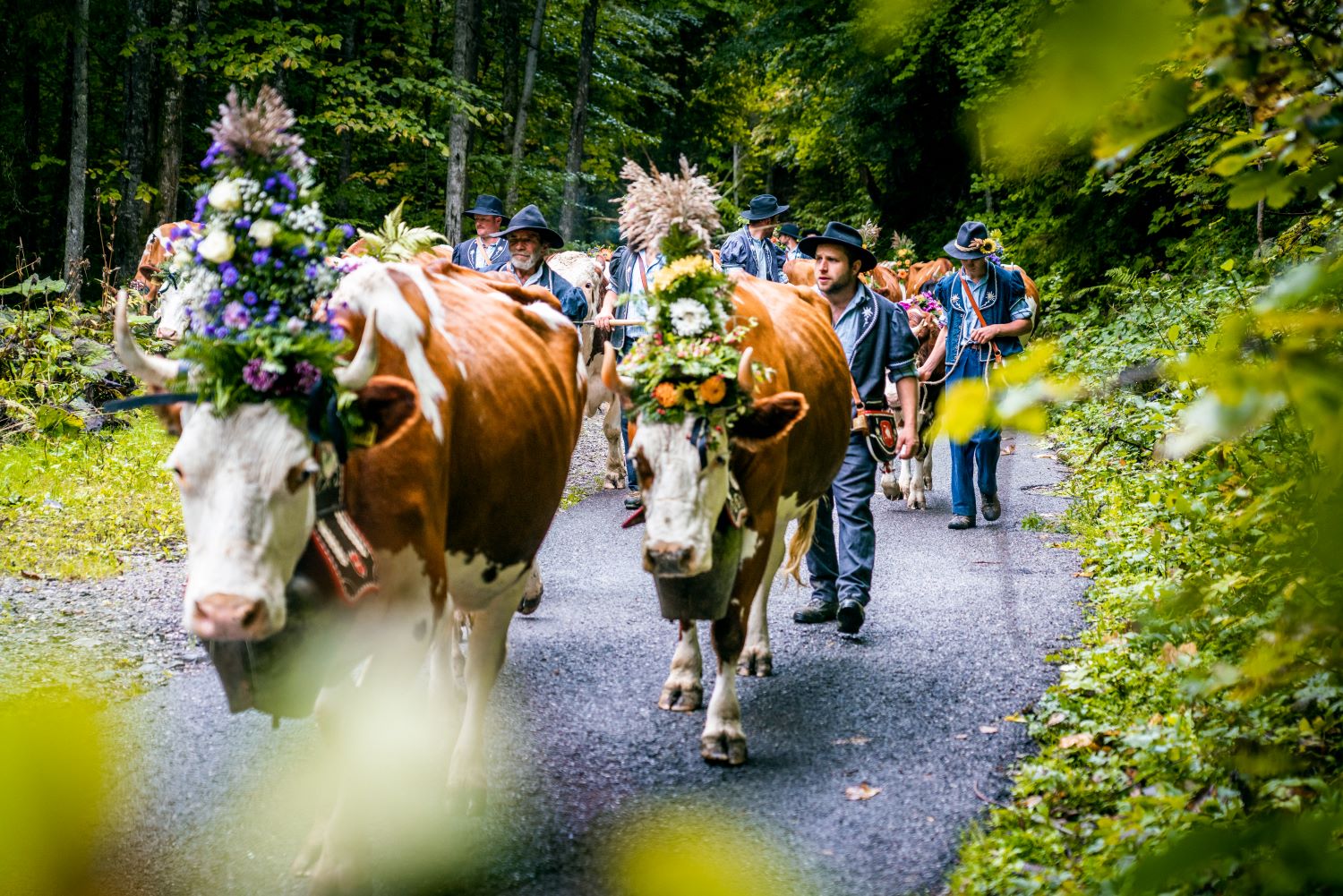 La désalpe dans le canton de Fribourg.