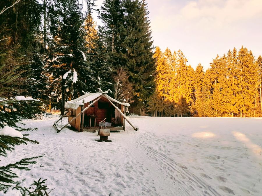 Vous rêvez de passer une nuit dans une cabane isolée à la lisière d'une forêt ? Alors cap sur la pépite de Dormir Ailleurs. © Dormir Ailleurs