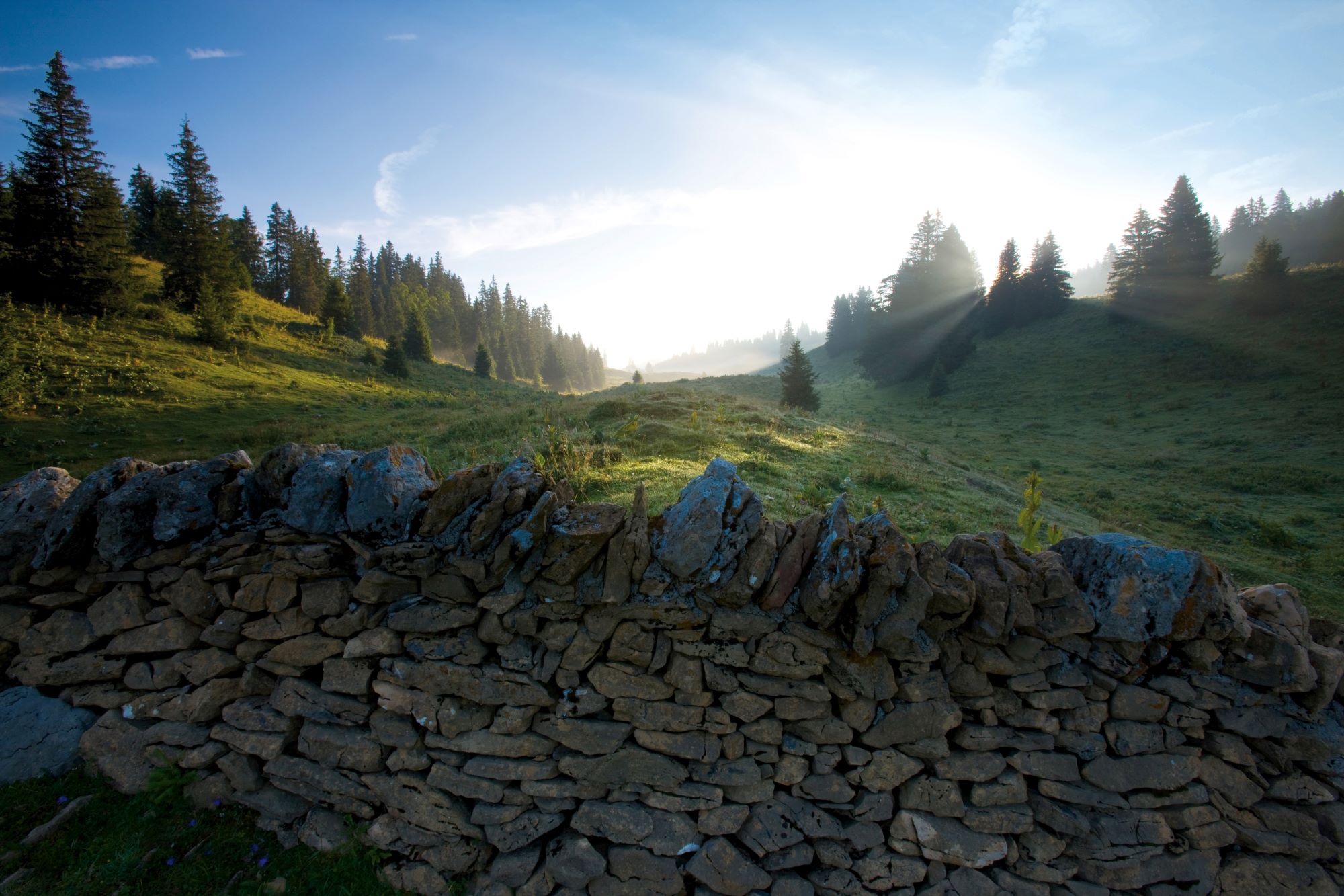 Excursion au col de Marchairuz avec CarPostal