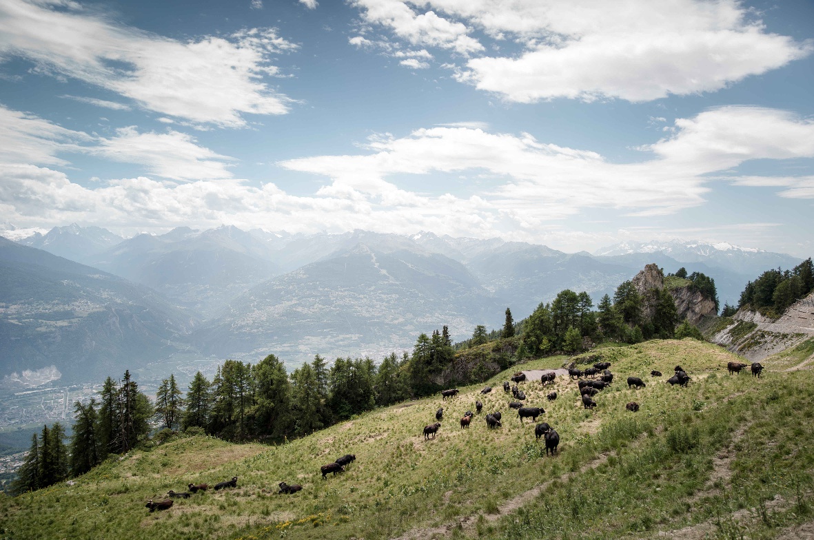 Excursion à Anzère avec CarPostal