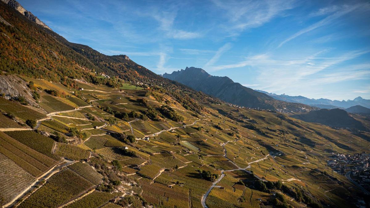 Excursions en Suisse romande avec CarPostal aux Coteaux du Soleil, Conthey