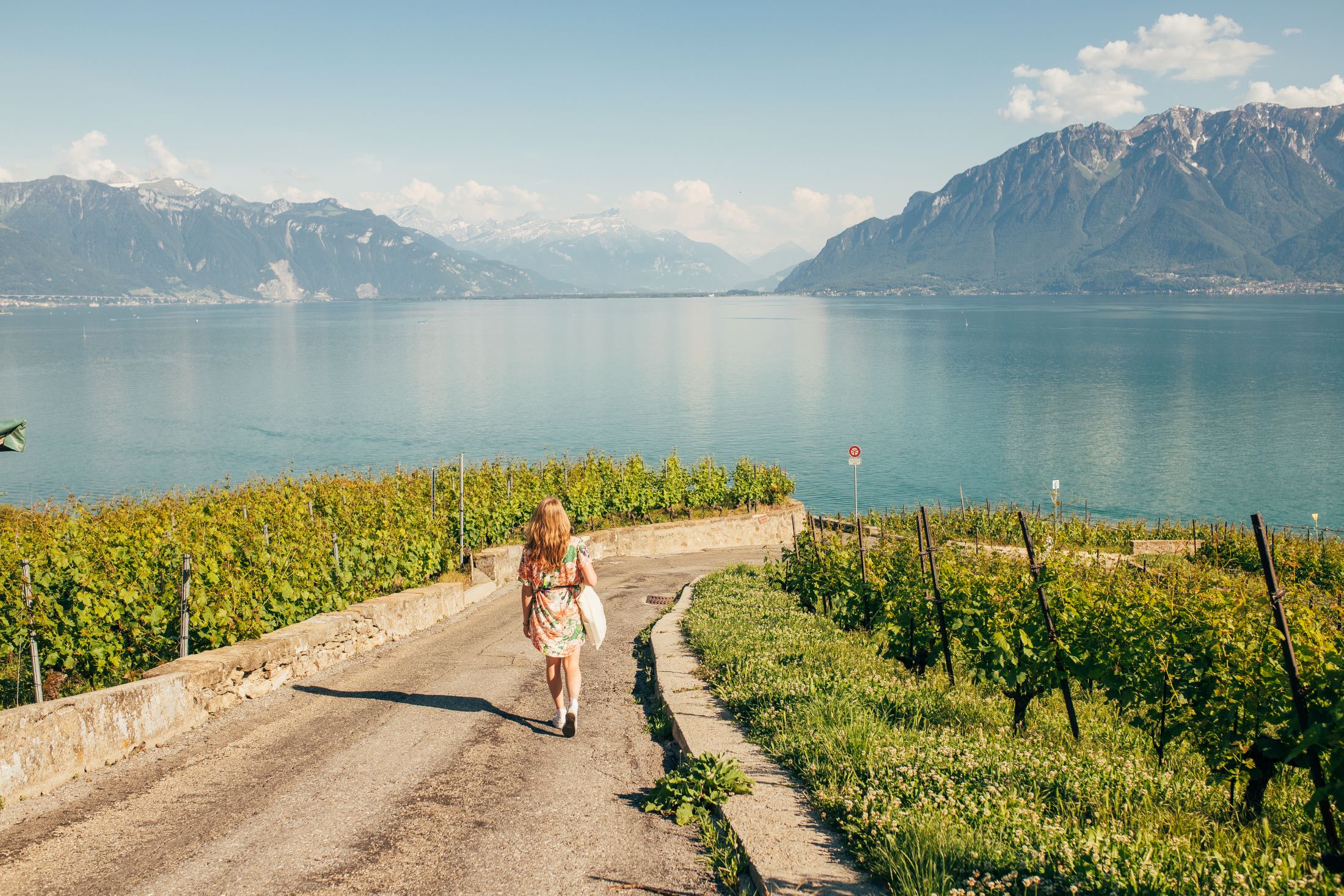 Route des vins suisses, de Cully à Saint-Saphorin dans le canton de Vaud
